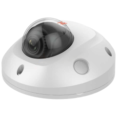 HiWatch DS-I259M(C)